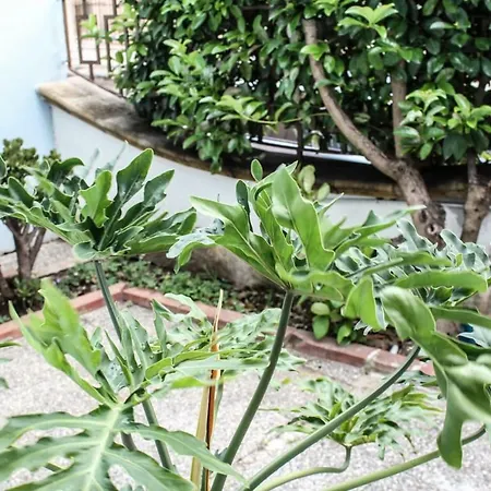 Tatil Evi Relax Tra I 2 Mari Cellino San Marco